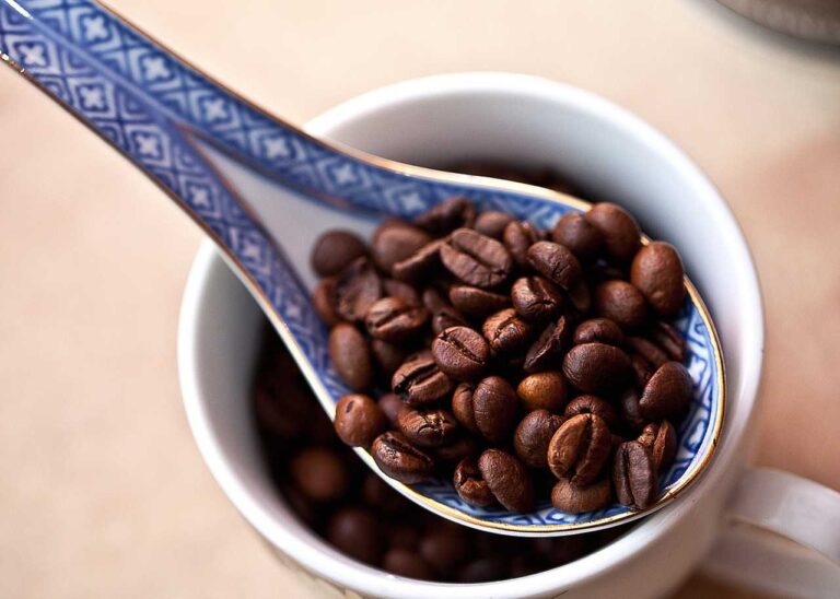 Read more about the article Czym się różni kawa Arabika od Robusty? Która kawa jest lepsza?